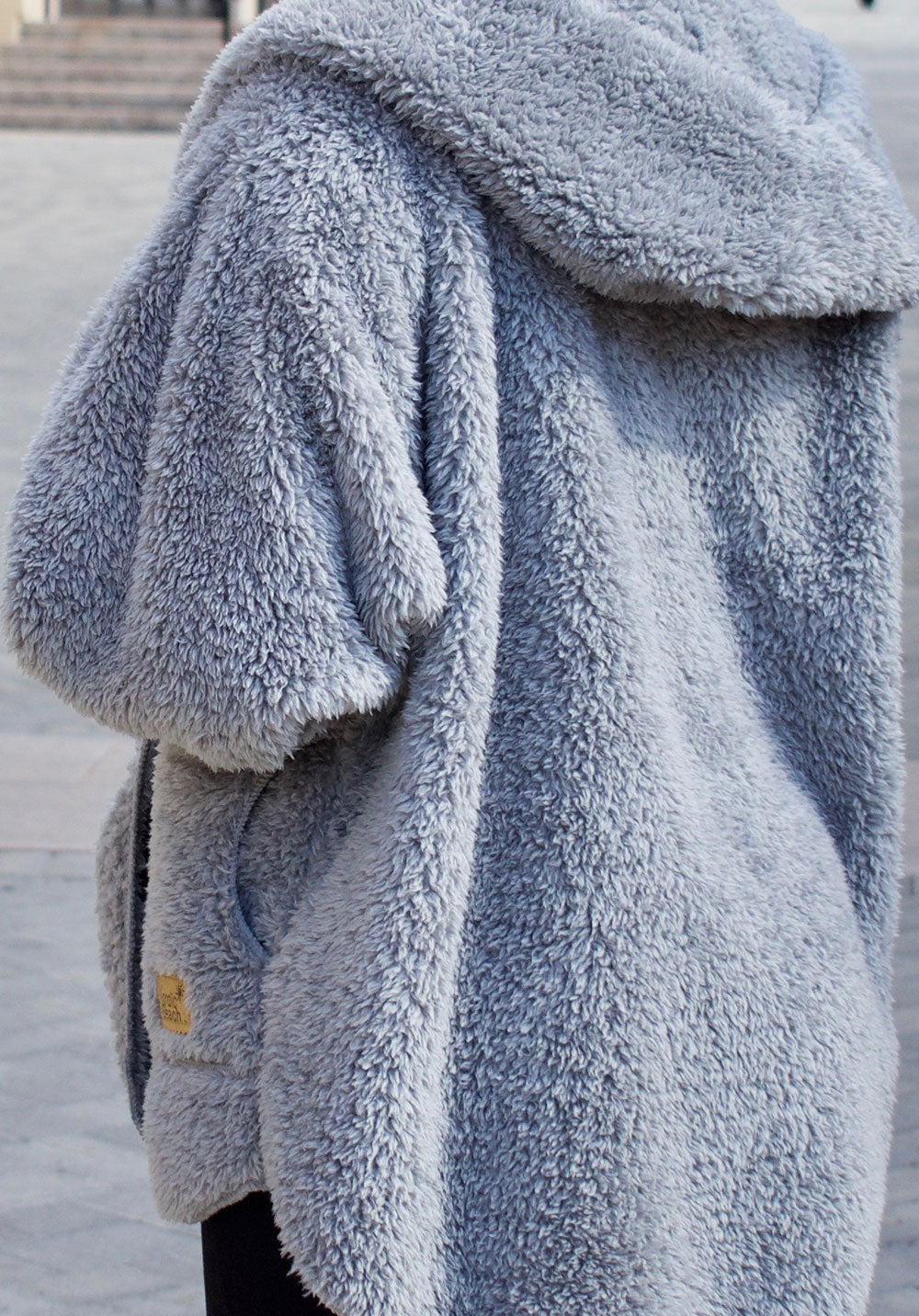 Grey Kitten zoom view